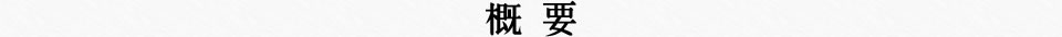 概要